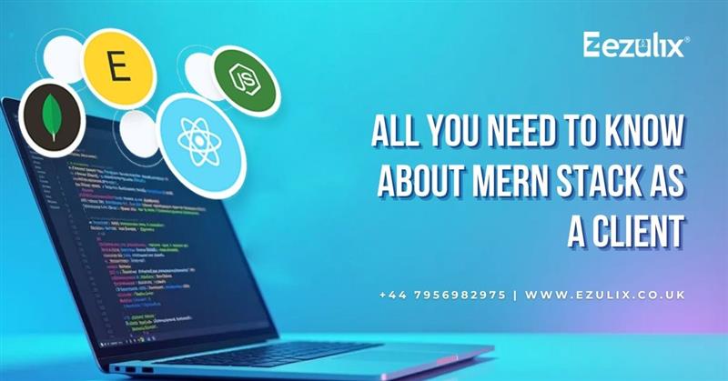 Need to Know About MERN Stack as a Client   